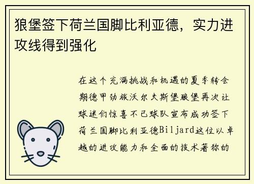狼堡签下荷兰国脚比利亚德，实力进攻线得到强化